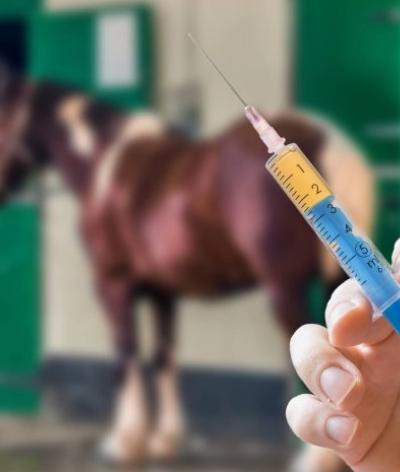 A quoi sert la vaccination ?