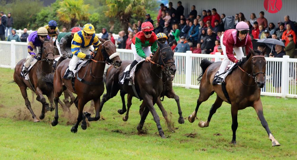 L’Hippodrome de Guingamp, dans les Côtes-d’Armor, obtient la labellisation EquuRES
