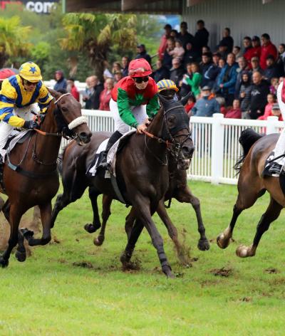 L’Hippodrome de Guingamp, dans les Côtes-d’Armor, obtient la labellisation EquuRES