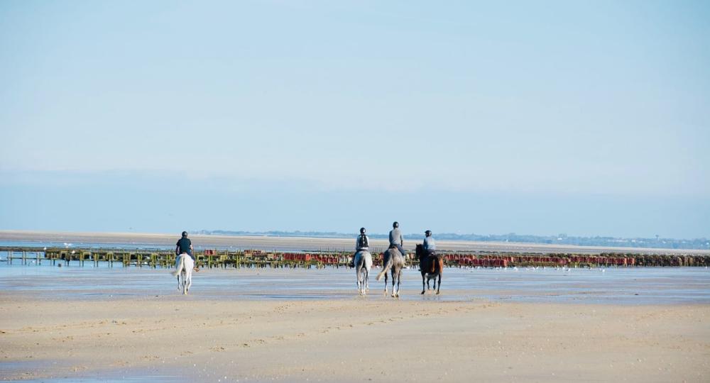 L'Ecurie des Salines se labellise EquuRES à l'échelon engagement