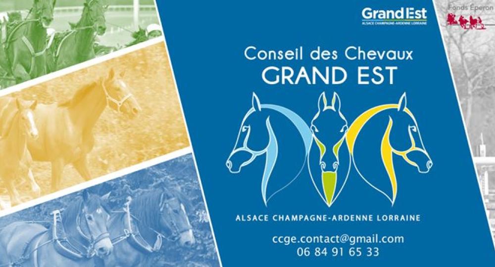 Aide à l'investissement de la filière équine dans la région Grand Est, 30% pour les labellisés EquuRES