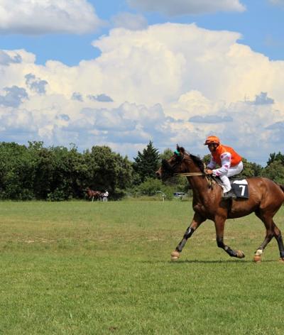 L'hippodrome de Bollène, dans le Vaucluse, se labellise EquuRES au niveau engagement