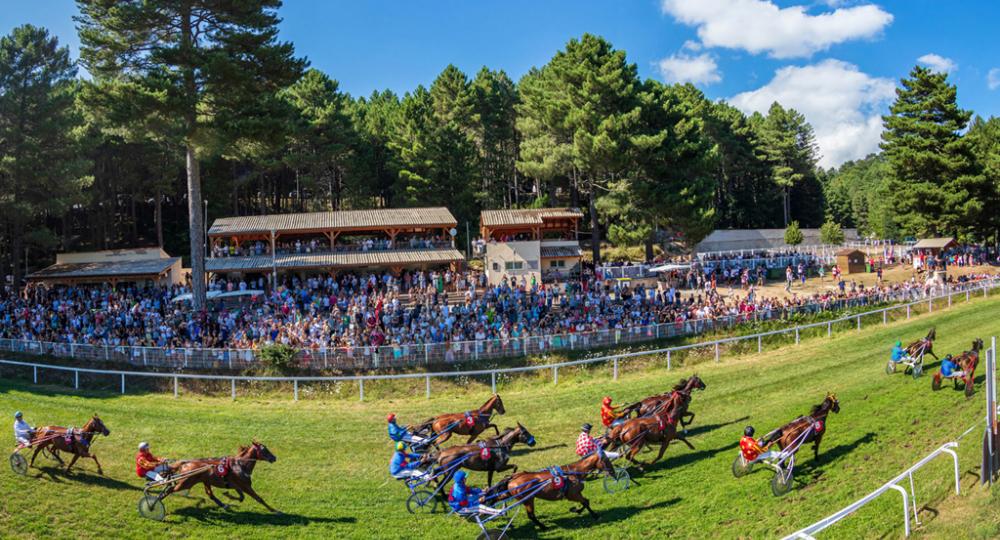 L'hippodrome de Zonza, en Corse, s'engage pour le bien-être animal et l'environnement avec EquuRES