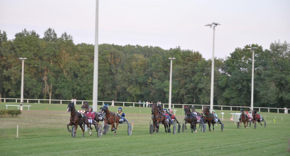 L'hippodrome de Luxé, dans la Charente, s'engage pour le bien-être animal et l'environnement avec EquuRES