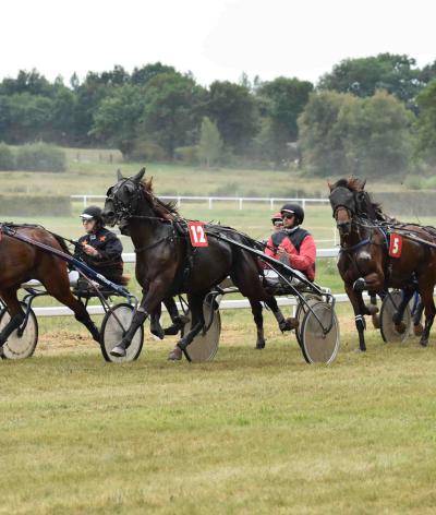 L'hippodrome de Sillé-le-Guillaume s'engage pour le bien-être et l'environnement avec EquuRES