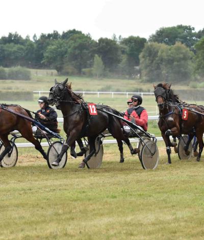 L'hippodrome de Sillé-le-Guillaume s'engage pour le bien-être et l'environnement avec EquuRES