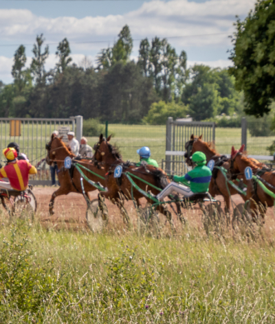 L'hippodrome de Neuillé Pont Pierre labellisé EquuRES !