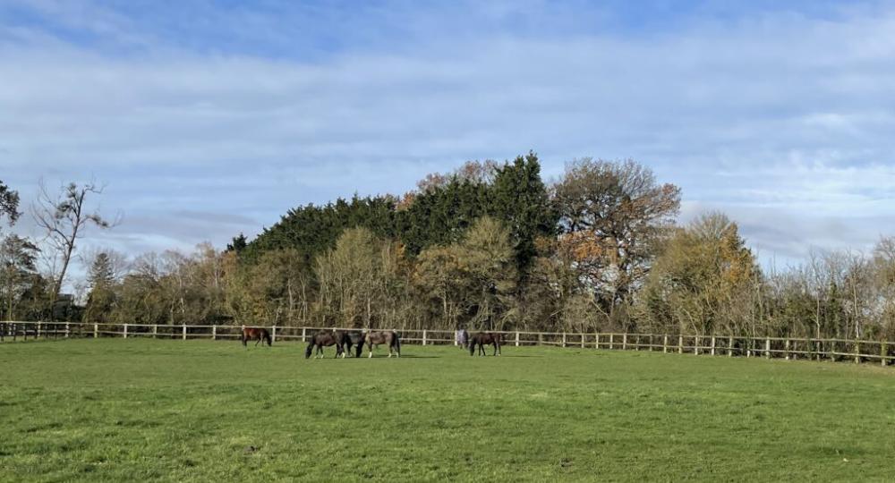 Le Domaine des Cinq Sens, situé dans le Calvados, passe à l'échelon Progression !