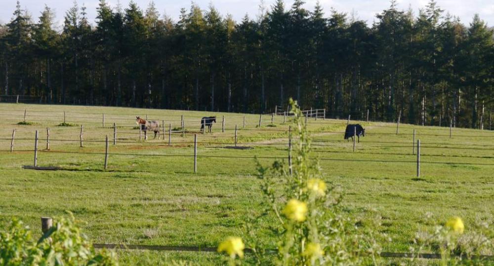 Le Domaine Equestre du fil de l'eau renouvelle sa labellisation EquuRES à l'échelon engagement