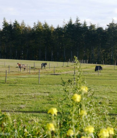 Le Domaine Equestre du fil de l'eau renouvelle sa labellisation EquuRES à l'échelon engagement