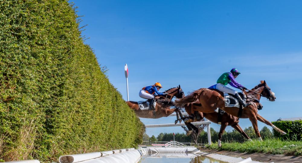 L'hippodrome de Mauron, situé dans le Morbihan, renouvelle son engagement en faveur de l'environnement et du bien-être animal