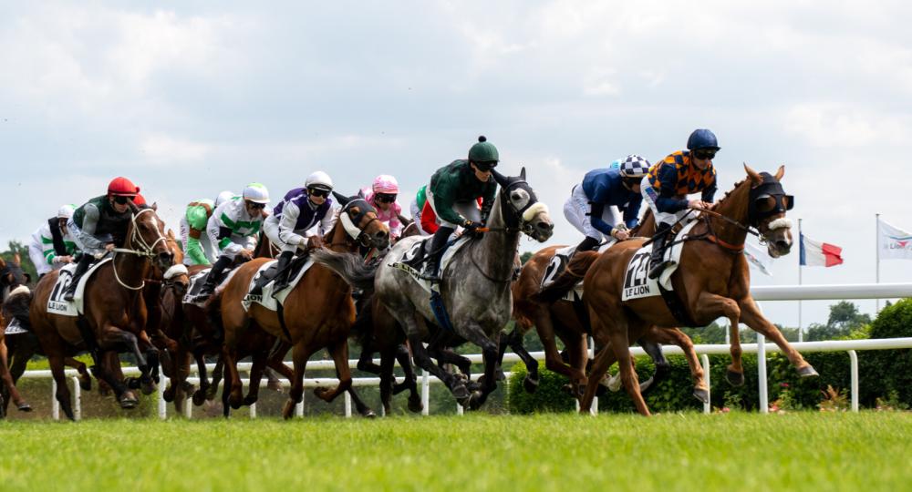 L'Hippodrome du Lion d'Angers renouvelle sa labellisation EquuRES et obtient le niveau Progression