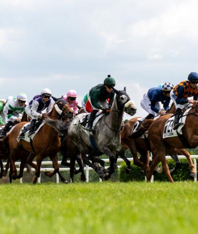 L'Hippodrome du Lion d'Angers renouvelle sa labellisation EquuRES et obtient le niveau Progression