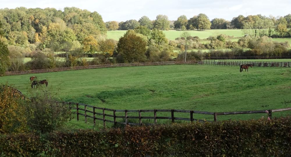 L’EARL des Fauvelières, dans l'Orne, atteint l'échelon progression à la suite de son évaluation de renouvellement !