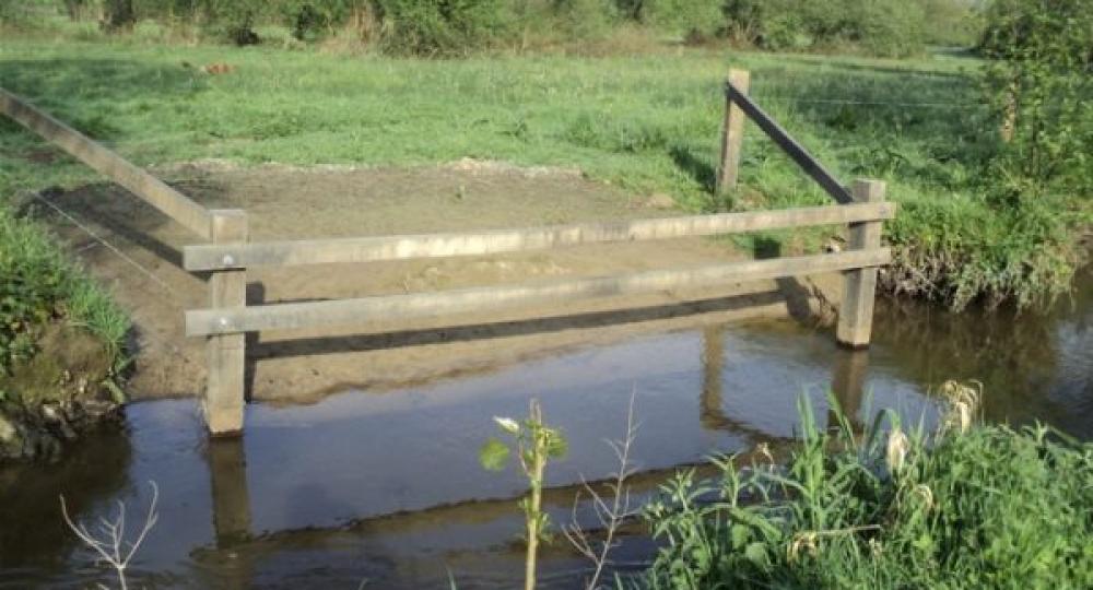 La gestion des abords de cours d’eau dans une prairie avec des chevaux