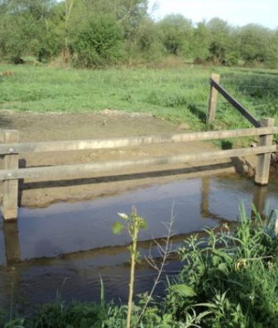 La gestion des abords de cours d’eau dans une prairie avec des chevaux