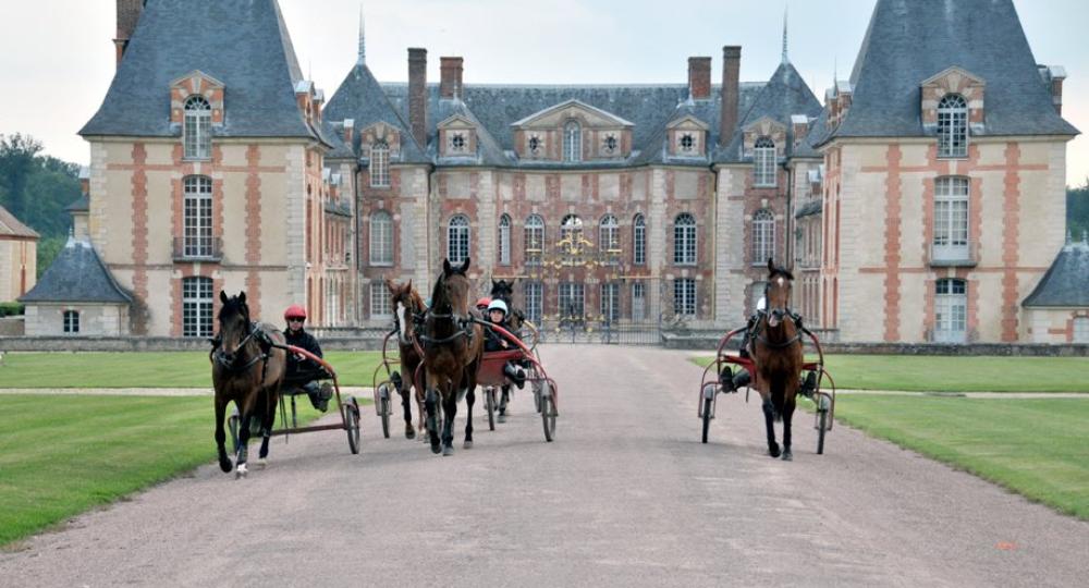 École des Courses Hippiques de Grosbois s'engage pour l'environnement et le bien-être