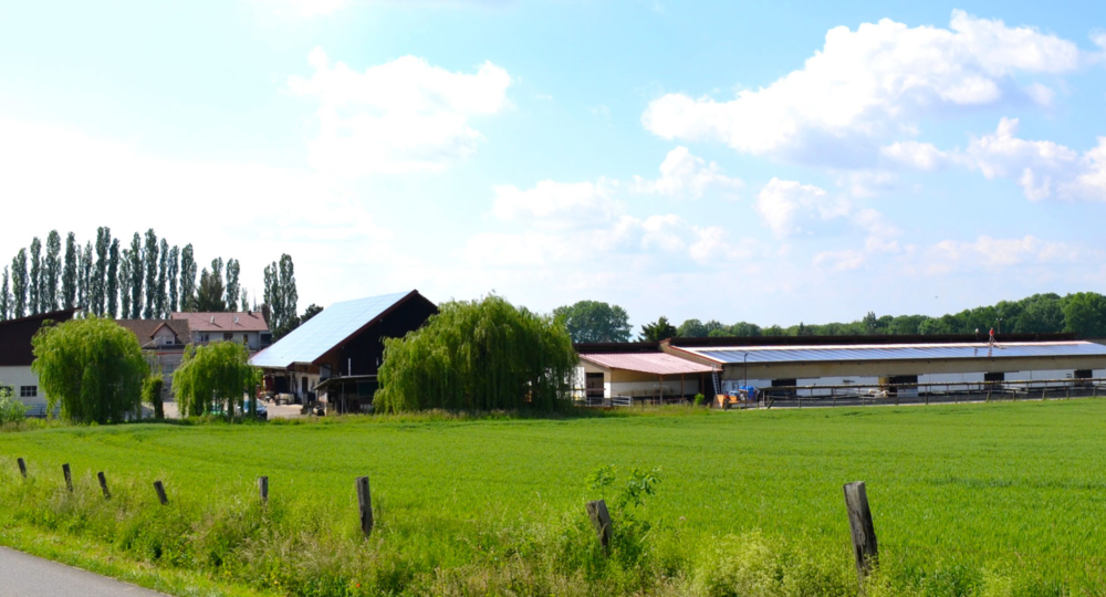 L'écurie du Neuhof, en Alsace, labellisée EquuRES à l'échelon Progression