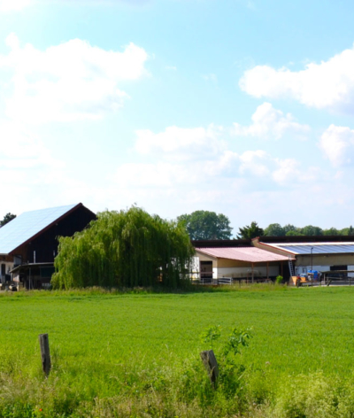 L'écurie du Neuhof, en Alsace, labellisée EquuRES à l'échelon Progression