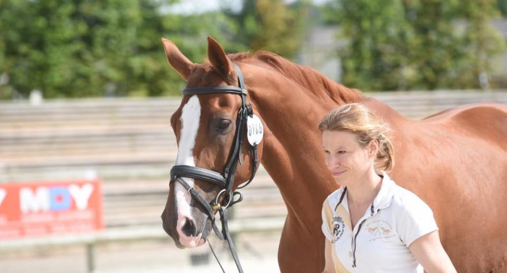 L'Ecurie Perrine Carlier, une écurie de dressage labellisée EquuRES