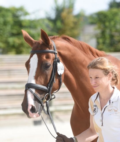 L'Ecurie Perrine Carlier, une écurie de dressage labellisée EquuRES