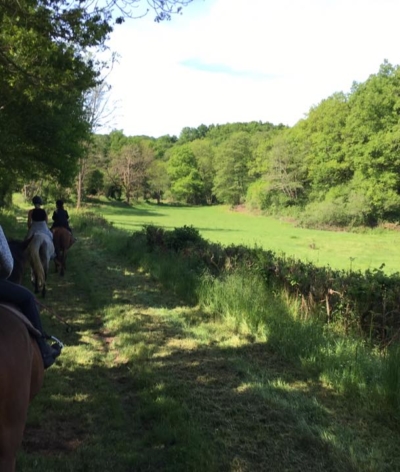 Les écuries de Dreuille, dans l'Allier, labellisées EquuRES