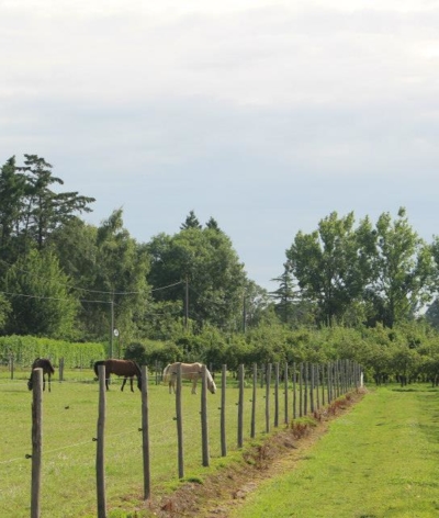 Les écuries des petits ifs, dans l'Eure, labellisées EquuRES