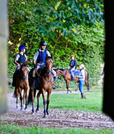 Les écuries Diane, écuries de pré-entrainement, renouvellent leur label EquuRES