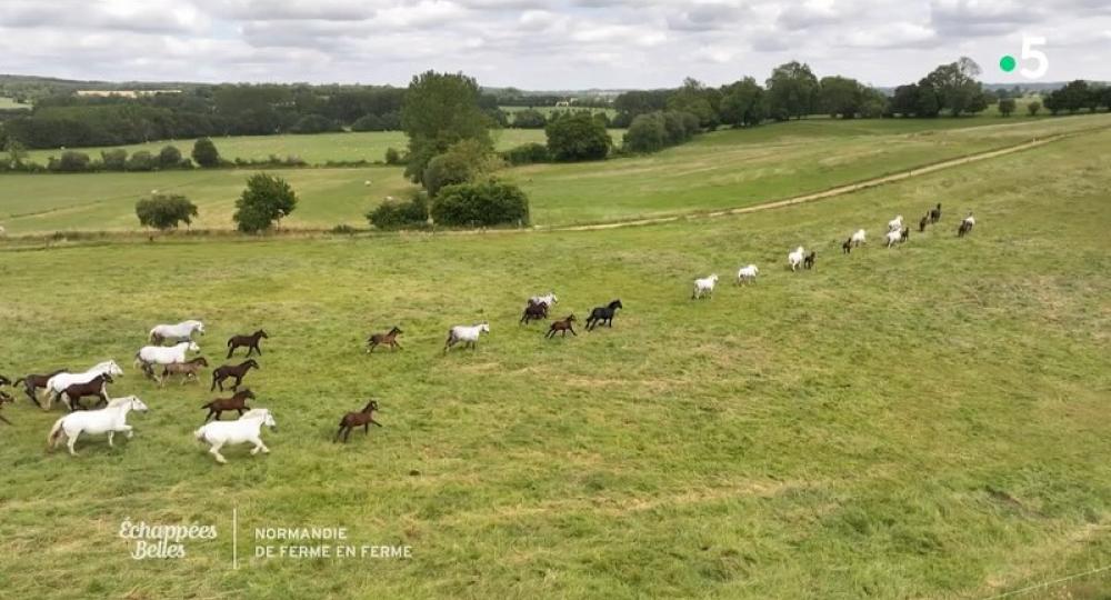 Chevalait atteint le niveau progression lors de son évaluation de suivi