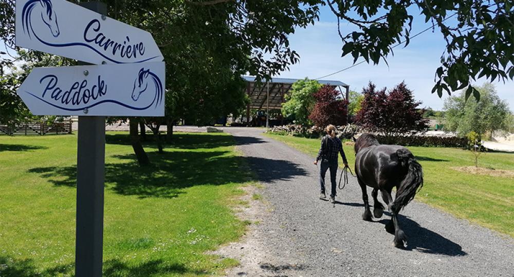 L'EARL Terre à Terre, en Charentes-Maritime, se labellise à l'échelon engagement