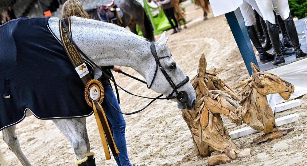 L'événement Jumping CSI **** Equi Seine labellisé pour la 7ème fois EquuRES EVENT