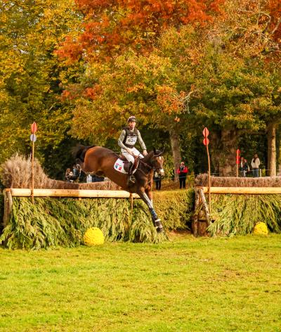 Le Mondial du Lion, renouvelle sa labellisation EquuRES pour sa 40ème édition
