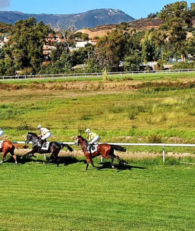 L'hippodrome de Vignetta, à Ajaccio, se labellise EquuRES à l'échelon Engagement