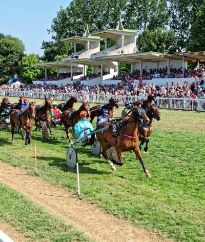 L'hippodrome de Chinon, en région Centre-Val-de-Loire, se labellise EquuRES
