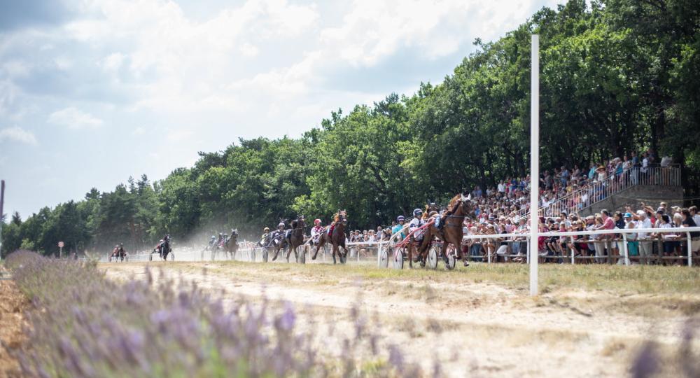 L'hippodrome du Défends, à Sault, s'engage en faveur de l'environnement et du bien-être des chevaux en se labellisant EquuRES