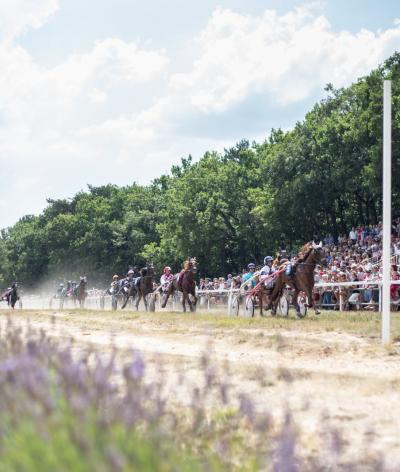 L'hippodrome du Défends, à Sault, s'engage en faveur de l'environnement et du bien-être des chevaux en se labellisant EquuRES