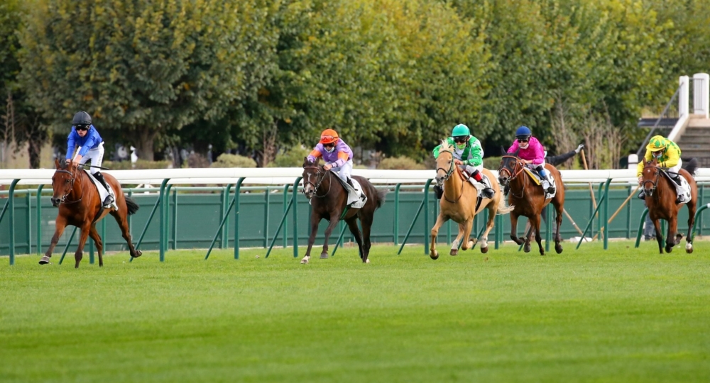 L'hippodrome d'Auteuil labellisé EquuRES à l'échelon progression