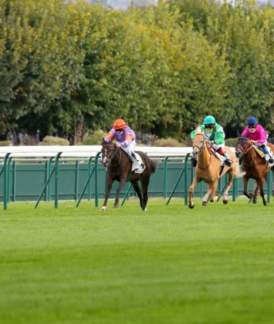 L'hippodrome d'Auteuil labellisé EquuRES à l'échelon progression