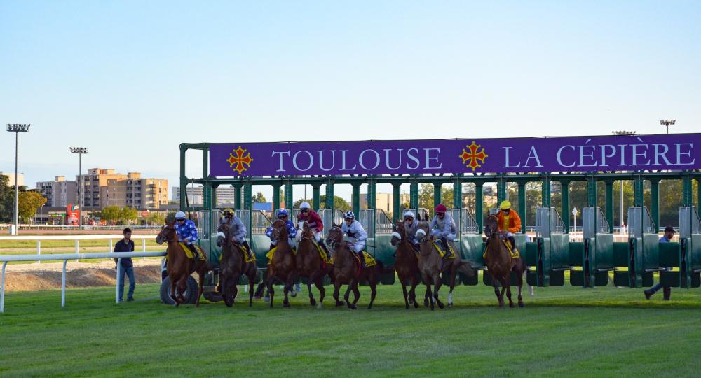 L'hippodrome de Toulouse est labellisé EquuRES au niveau progression