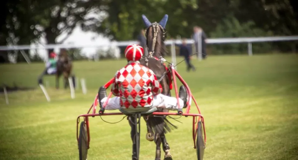 L'Hippodrome d'Arras, dans les Hauts de France, labellisé EquuRES !