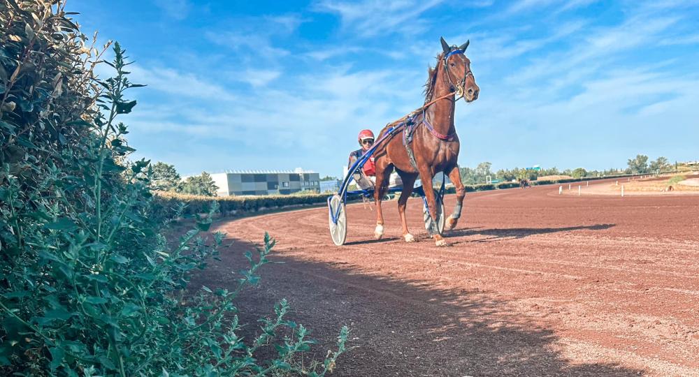 L'hippodrome de Salon de Provence s'engage pour l'environnement et le bien-être animal