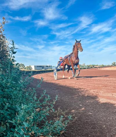 L'hippodrome de Salon de Provence s'engage pour l'environnement et le bien-être animal