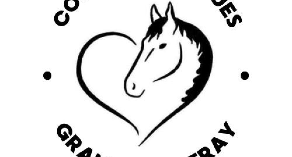 L'hippodrome du Grand Fougeray, situé en Bretagne, est labellisé EquuRES