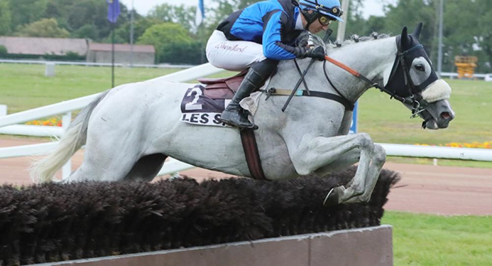 L'hippodrome des Sables d'Olonne s'engage pour l'environnement et le bien-être animal