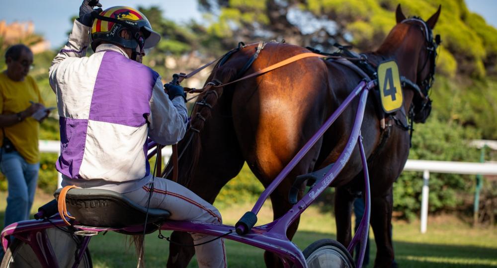 L'hippodrome de Hyères, dans le Var, s'engage pour l'environnement et le bien-être animal