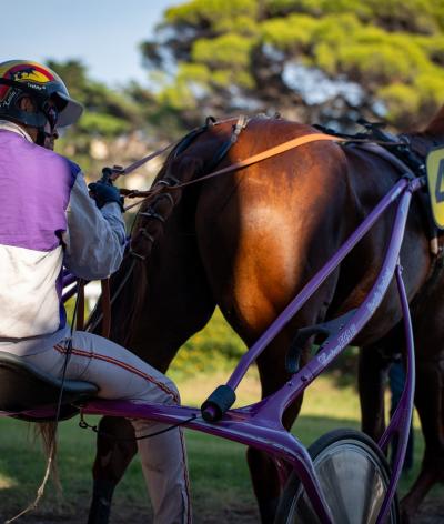 L'hippodrome de Hyères, dans le Var, s'engage pour l'environnement et le bien-être animal