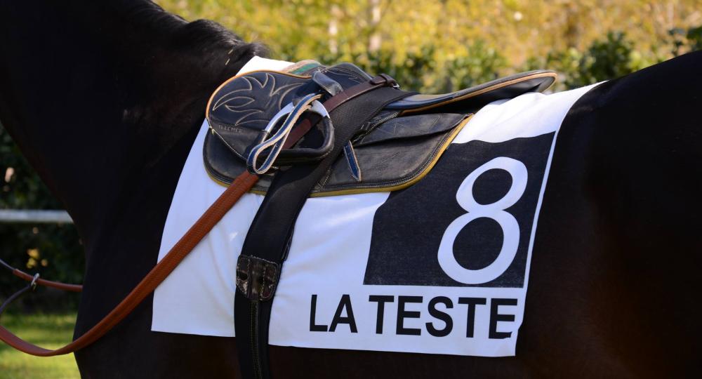 L'hippodrome de la Teste-de-Buch, en Gironde, se labellise EquuRES