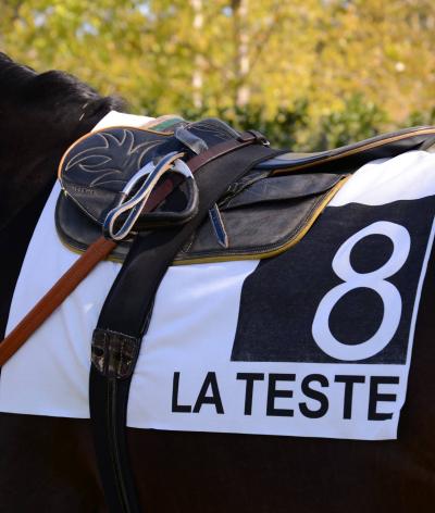 L'hippodrome de la Teste-de-Buch, en Gironde, se labellise EquuRES