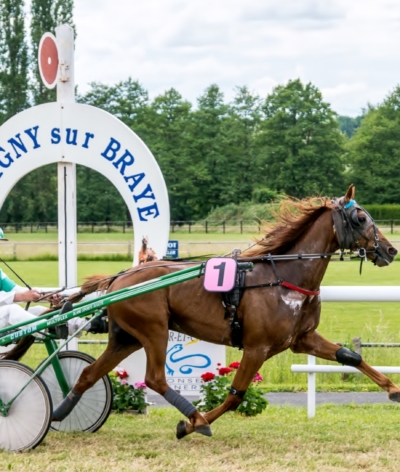 L'Hippodrome de Savigny sur Braye, en Centre-Val de Loire, labellisé EquuRES Hippodrome !