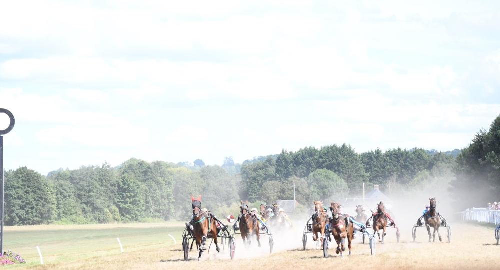 L'Hippodrome de Dozulé, situé dans le Calvados, obtient la labellisation EquuRES à l’échelon engagement !